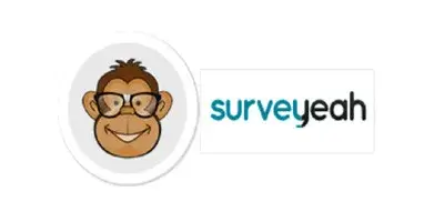 survey